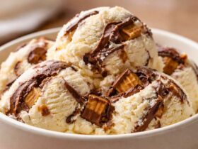Homemade Moose Tracks Ice Cream Recipe